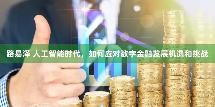 路易泽 人工智能时代，如何应对数字金融发展机遇和挑战