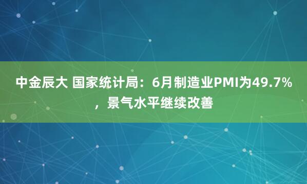 中金辰大 国家统计局：6月制造业PMI为49.7%，景气水平继续改善