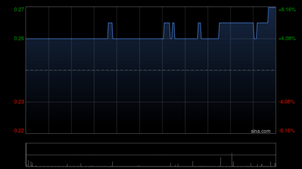 广州华鑫 谊砾控股拟发行合共2433.9万港元可换股债券